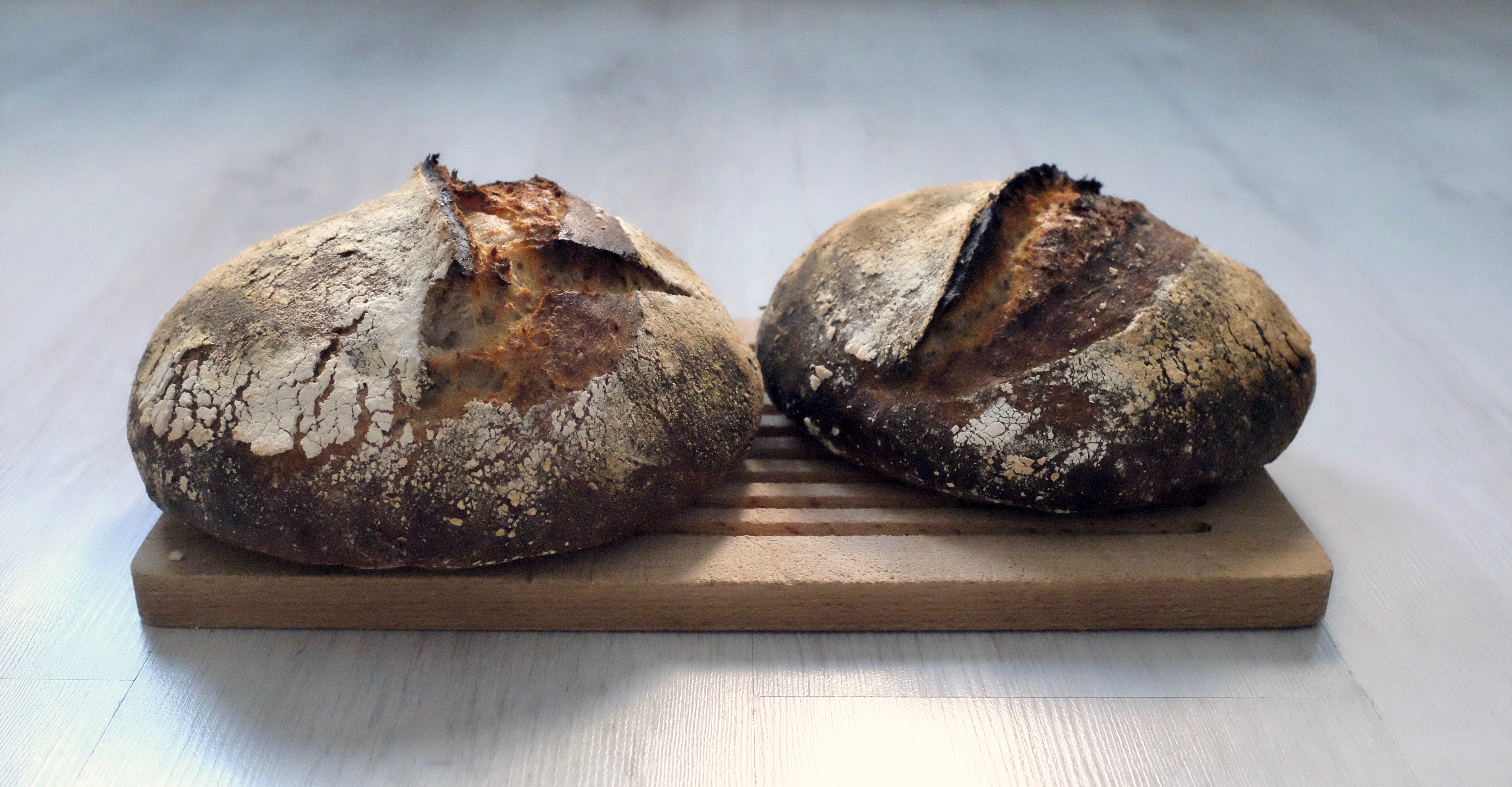 Two loafs of bread